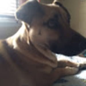 Meet your Posher, Annabelle